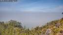 ./images/calvert/foggy-cove/20260613/foggy-cove20260613_133501M.jpg