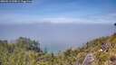 ./images/calvert/foggy-cove/20260613/foggy-cove20260613_134001M.jpg