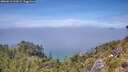 ./images/calvert/foggy-cove/20260613/foggy-cove20260613_134502M.jpg