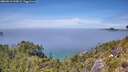 ./images/calvert/foggy-cove/20260613/foggy-cove20260613_135002M.jpg