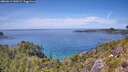 ./images/calvert/foggy-cove/20260613/foggy-cove20260613_140501M.jpg