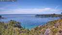 ./images/calvert/foggy-cove/20260613/foggy-cove20260613_141001M.jpg