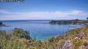 ./images/calvert/foggy-cove/20260613/foggy-cove20260613_142002M.jpg