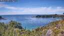 ./images/calvert/foggy-cove/20260613/foggy-cove20260613_144501M.jpg