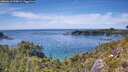 ./images/calvert/foggy-cove/20260613/foggy-cove20260613_145001M.jpg