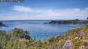 ./images/calvert/foggy-cove/20260613/foggy-cove20260613_150002M.jpg