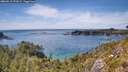 ./images/calvert/foggy-cove/20260613/foggy-cove20260613_151001M.jpg