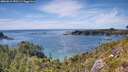 ./images/calvert/foggy-cove/20260613/foggy-cove20260613_152501M.jpg