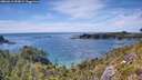 ./images/calvert/foggy-cove/20260613/foggy-cove20260613_153001M.jpg