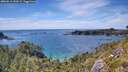 ./images/calvert/foggy-cove/20260613/foggy-cove20260613_153501M.jpg