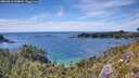 ./images/calvert/foggy-cove/20260613/foggy-cove20260613_154001M.jpg