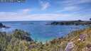 ./images/calvert/foggy-cove/20260613/foggy-cove20260613_154501M.jpg