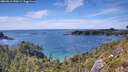 ./images/calvert/foggy-cove/20260613/foggy-cove20260613_155001M.jpg