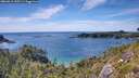 ./images/calvert/foggy-cove/20260613/foggy-cove20260613_155501M.jpg