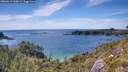 ./images/calvert/foggy-cove/20260613/foggy-cove20260613_160002M.jpg