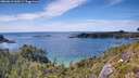 ./images/calvert/foggy-cove/20260613/foggy-cove20260613_160501M.jpg