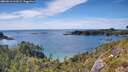 ./images/calvert/foggy-cove/20260613/foggy-cove20260613_161001M.jpg
