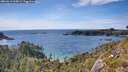 ./images/calvert/foggy-cove/20260613/foggy-cove20260613_165001M.jpg