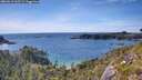 ./images/calvert/foggy-cove/20260613/foggy-cove20260613_165501M.jpg