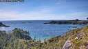 ./images/calvert/foggy-cove/20260613/foggy-cove20260613_170501M.jpg