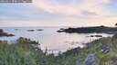 ./images/calvert/foggy-cove/20260614/foggy-cove20260614_054001M.jpg