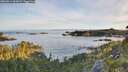./images/calvert/foggy-cove/20260614/foggy-cove20260614_062002M.jpg