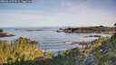 ./images/calvert/foggy-cove/20260614/foggy-cove20260614_073002M.jpg