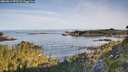 ./images/calvert/foggy-cove/20260614/foggy-cove20260614_073502M.jpg