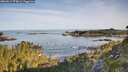 ./images/calvert/foggy-cove/20260614/foggy-cove20260614_074001M.jpg
