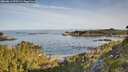 ./images/calvert/foggy-cove/20260614/foggy-cove20260614_075501M.jpg