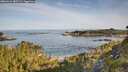 ./images/calvert/foggy-cove/20260614/foggy-cove20260614_080501M.jpg
