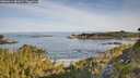 ./images/calvert/foggy-cove/20260614/foggy-cove20260614_081002M.jpg