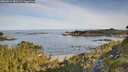 ./images/calvert/foggy-cove/20260614/foggy-cove20260614_081501M.jpg