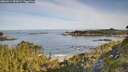 ./images/calvert/foggy-cove/20260614/foggy-cove20260614_082001M.jpg