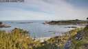 ./images/calvert/foggy-cove/20260614/foggy-cove20260614_082501M.jpg
