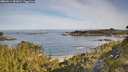 ./images/calvert/foggy-cove/20260614/foggy-cove20260614_083001M.jpg