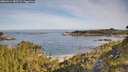./images/calvert/foggy-cove/20260614/foggy-cove20260614_083502M.jpg