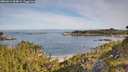 ./images/calvert/foggy-cove/20260614/foggy-cove20260614_084001M.jpg