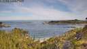 ./images/calvert/foggy-cove/20260614/foggy-cove20260614_085501M.jpg