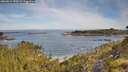 ./images/calvert/foggy-cove/20260614/foggy-cove20260614_090502M.jpg