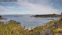 ./images/calvert/foggy-cove/20260614/foggy-cove20260614_091001M.jpg