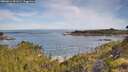 ./images/calvert/foggy-cove/20260614/foggy-cove20260614_091501M.jpg