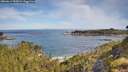 ./images/calvert/foggy-cove/20260614/foggy-cove20260614_092001M.jpg