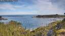 ./images/calvert/foggy-cove/20260614/foggy-cove20260614_092501M.jpg