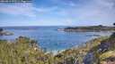 ./images/calvert/foggy-cove/20260614/foggy-cove20260614_093501M.jpg