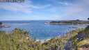 ./images/calvert/foggy-cove/20260614/foggy-cove20260614_094001M.jpg