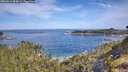 ./images/calvert/foggy-cove/20260614/foggy-cove20260614_094501M.jpg