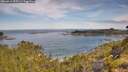 ./images/calvert/foggy-cove/20260614/foggy-cove20260614_095501M.jpg