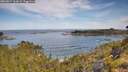 ./images/calvert/foggy-cove/20260614/foggy-cove20260614_100002M.jpg