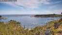 ./images/calvert/foggy-cove/20260614/foggy-cove20260614_100501M.jpg